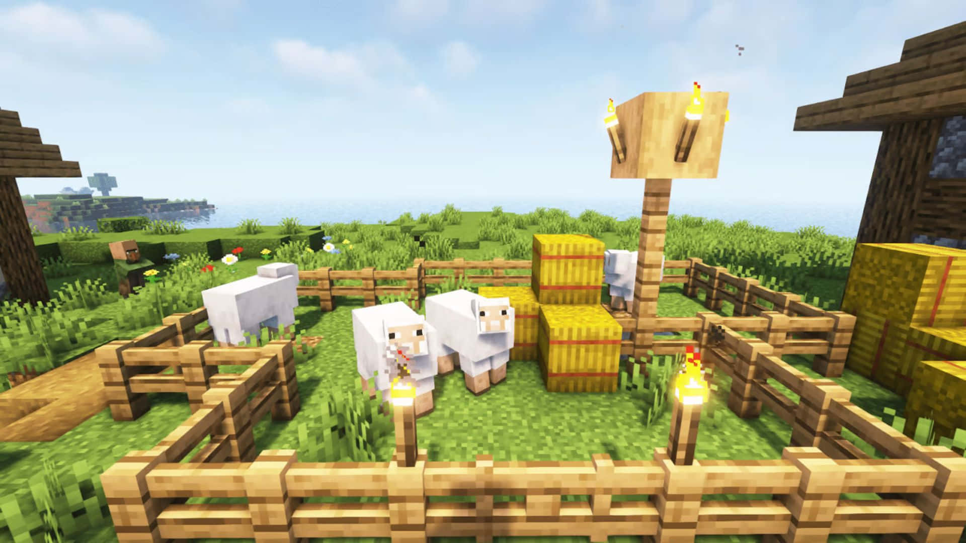 Colorful Minecraft Sheep Grazing in the Field Wallpaper