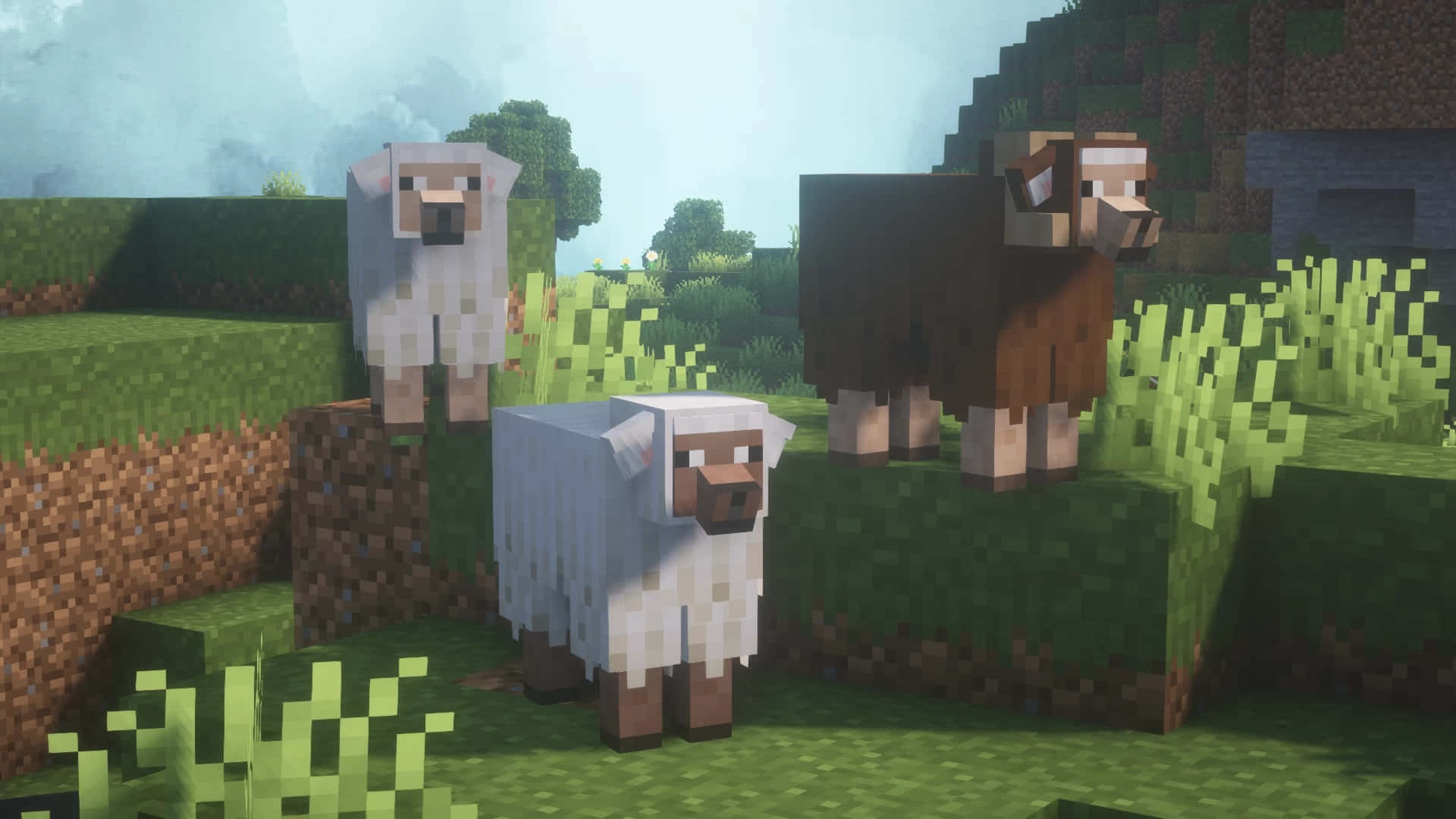 Colorful Minecraft Sheep in their natural habitat Wallpaper