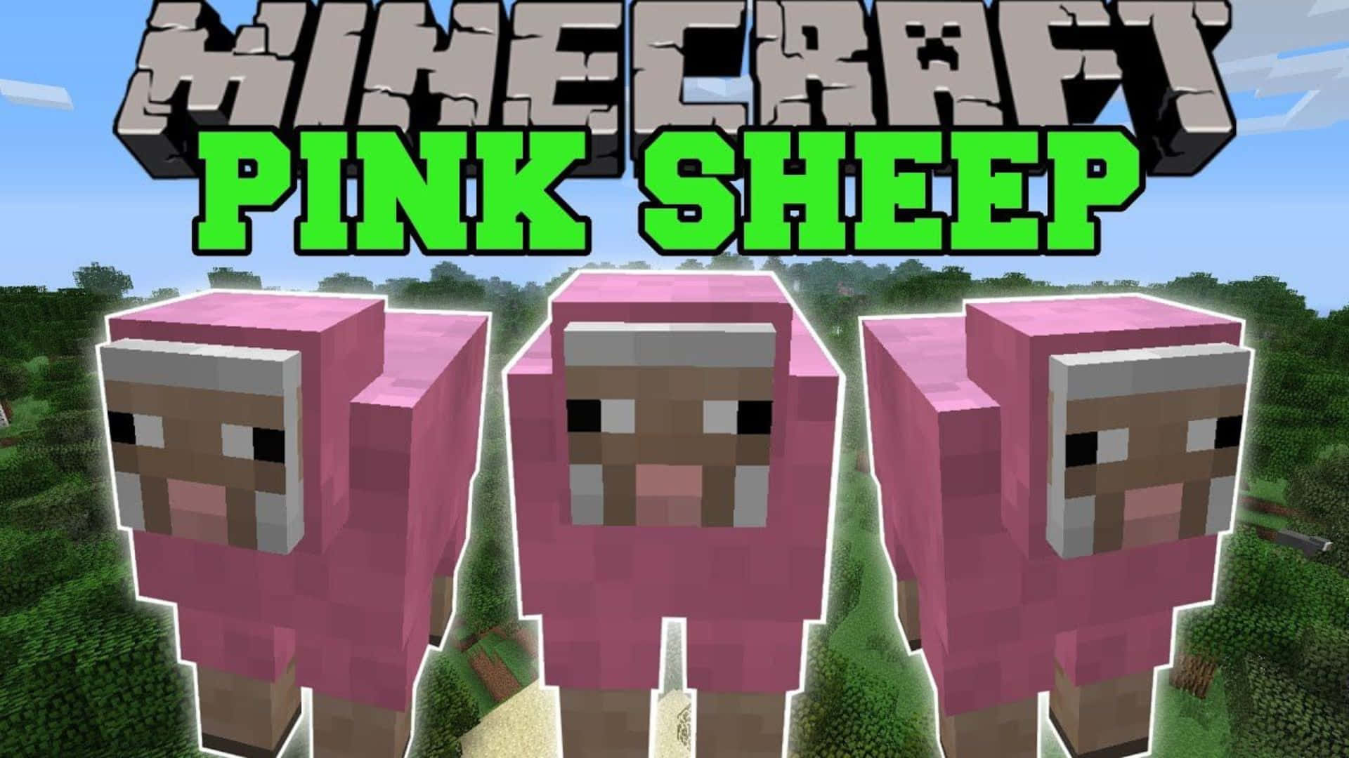 Minecraft Sheep in a Mesmerizing Landscape Wallpaper