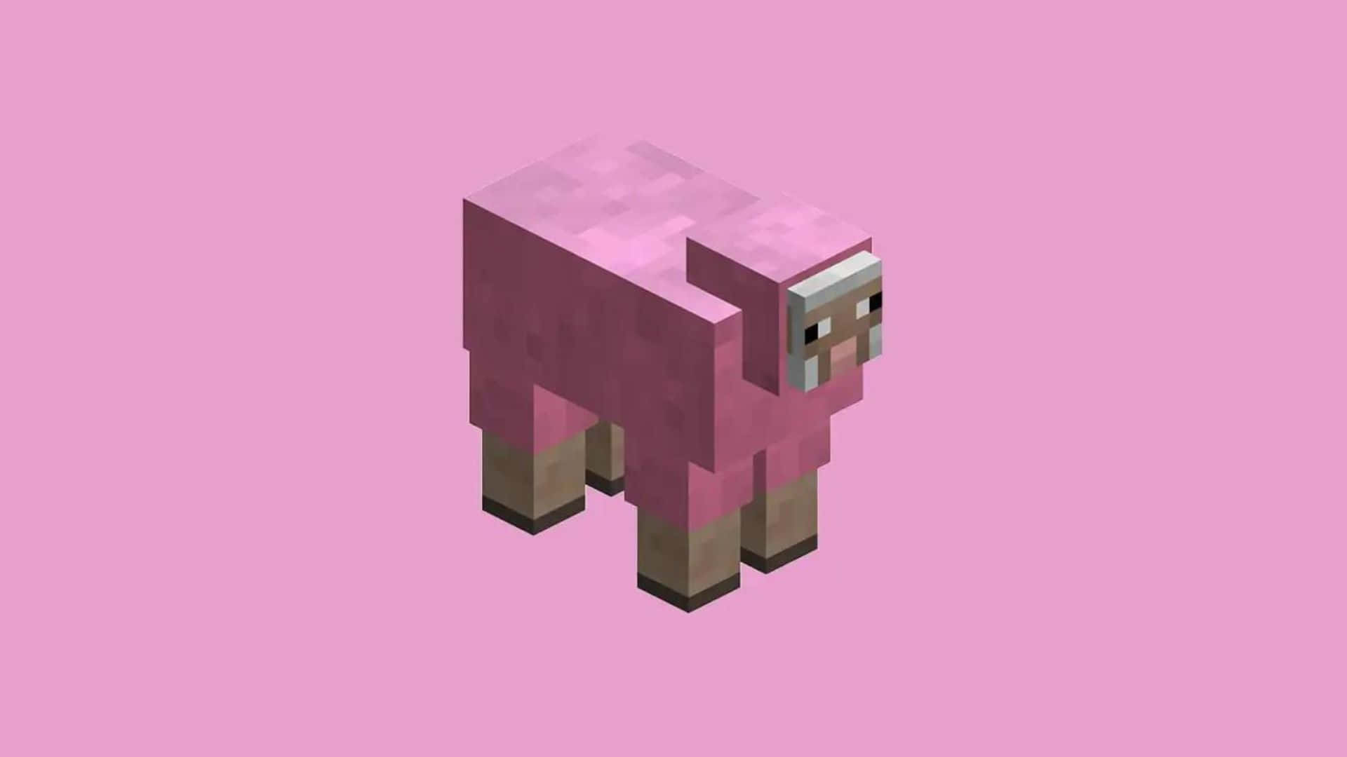 [100+] Minecraft Sheep Wallpapers | Wallpapers.com