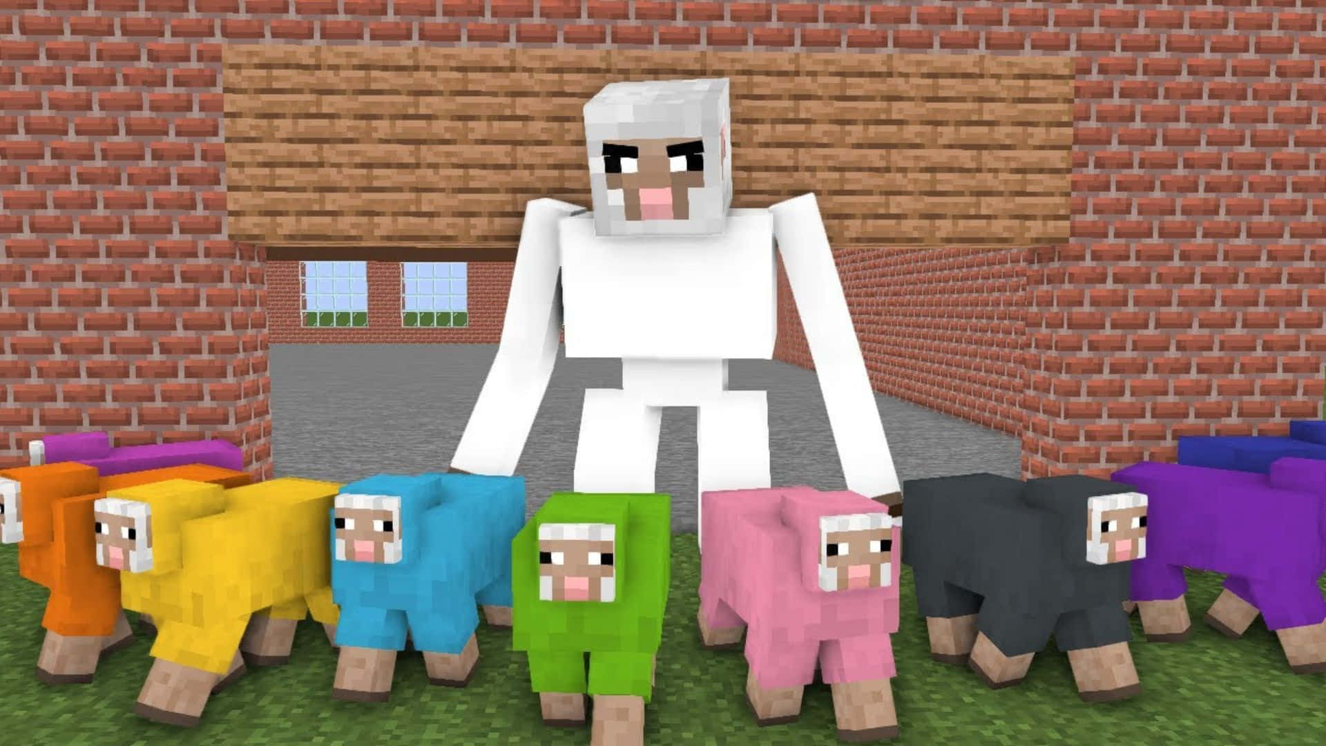 Colorful Minecraft Sheep Roaming the Landscape Wallpaper
