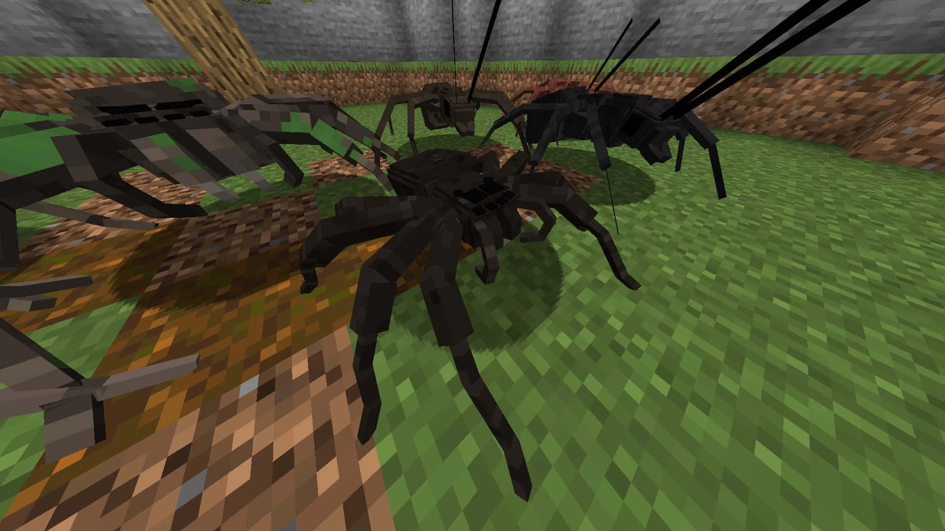 Mysterious Minecraft Spider Lurking in the Shadows Wallpaper