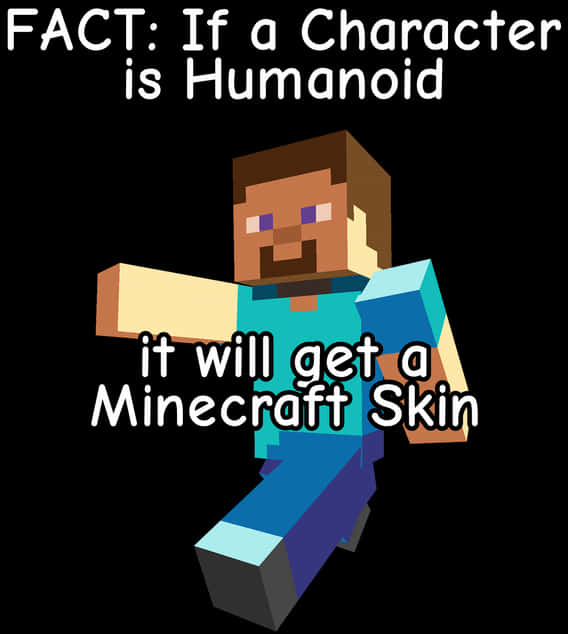 Minecraft Steve Humanoid Skin Fact PNG