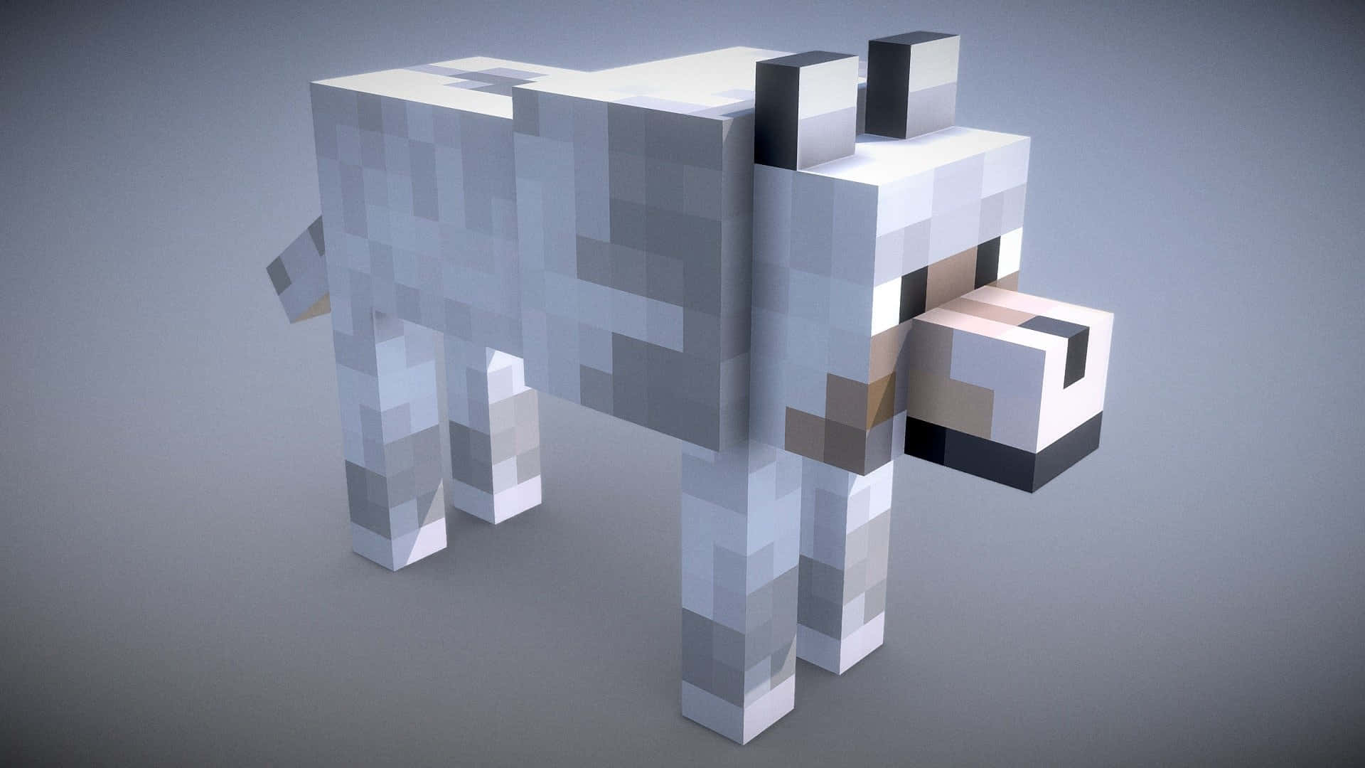 A Tamed Minecraft Wolf in its Natural Habitat Wallpaper