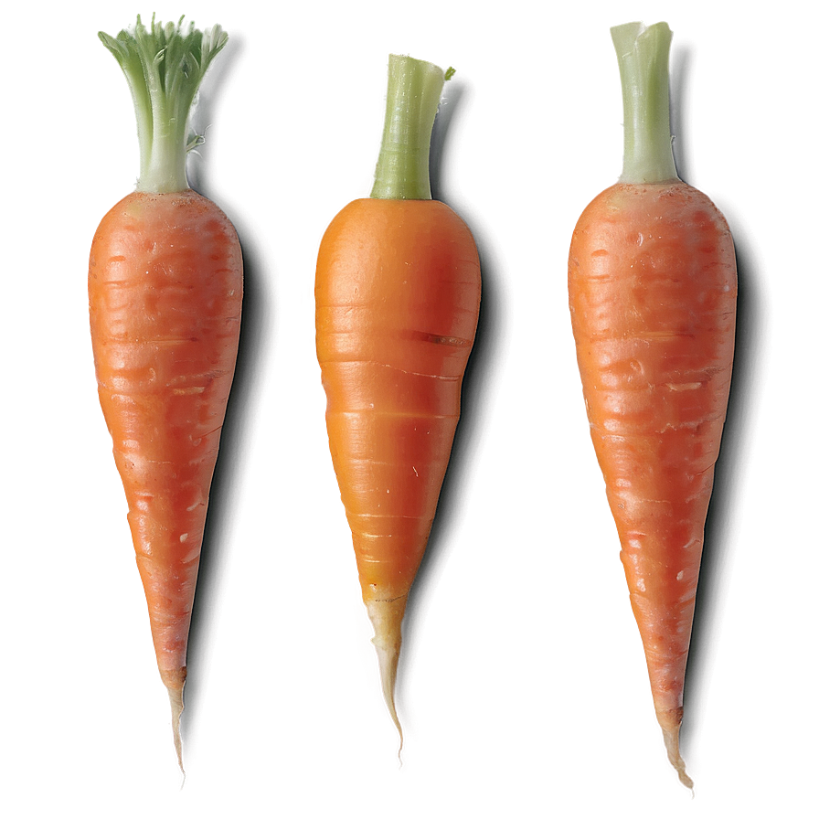 Mini Carrots Png 06132024 PNG