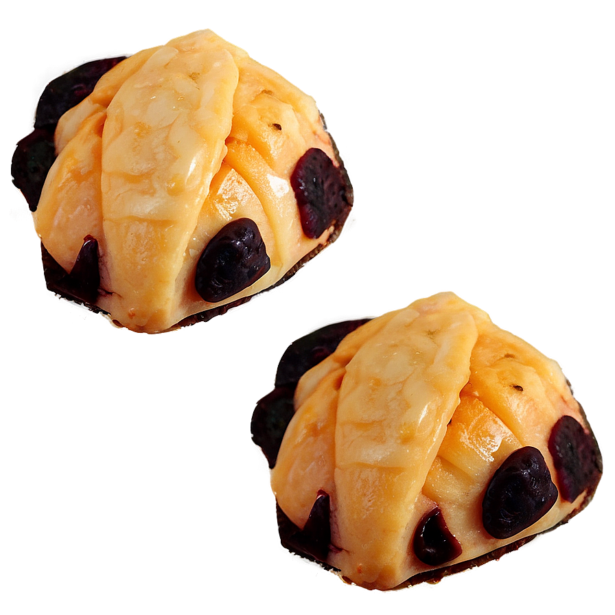 Mini Concha Bites Png 06122024 PNG