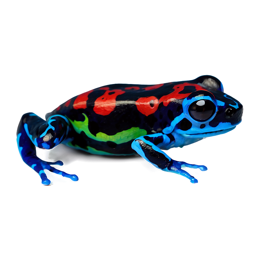 Miniature Poison Dart Frog Png Lxq66 PNG