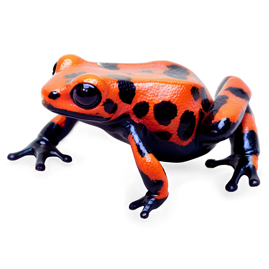 Miniature Poison Dart Frog Png Qru89 PNG