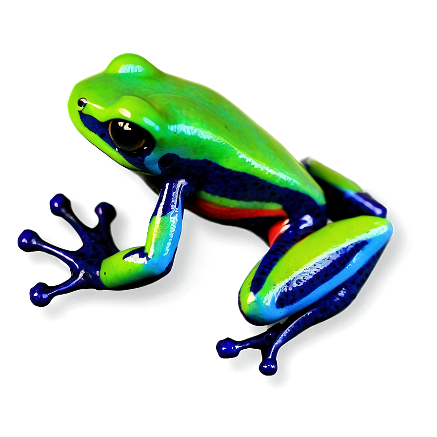 Miniature Poison Dart Frog Png Tpf PNG