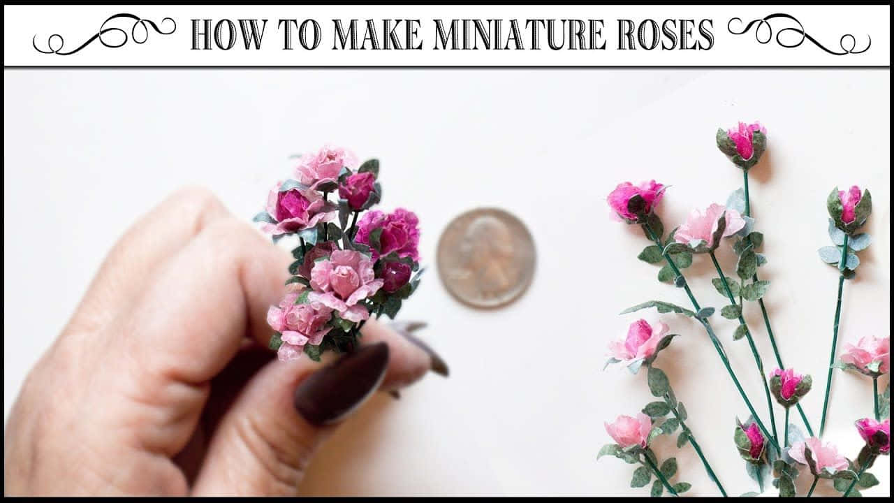 A Beautiful Collection of Miniature Roses Wallpaper