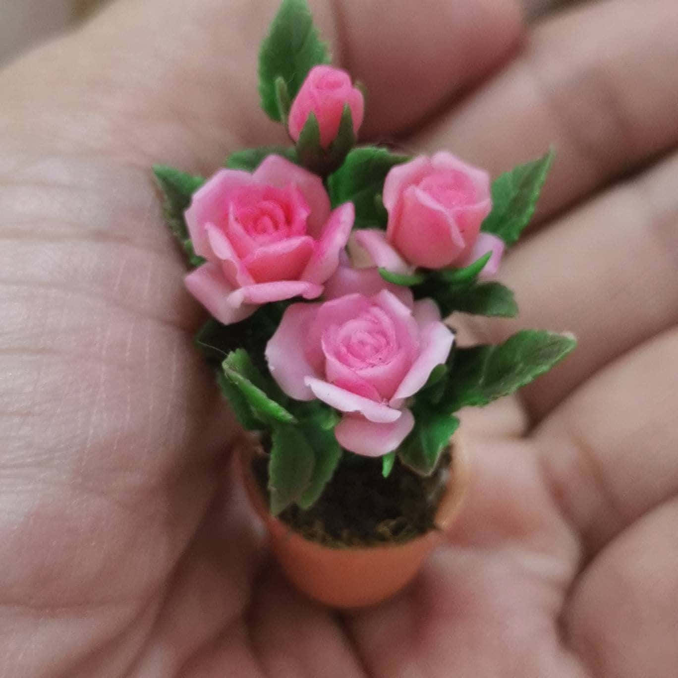 Delightful Miniature Roses in Full Bloom Wallpaper