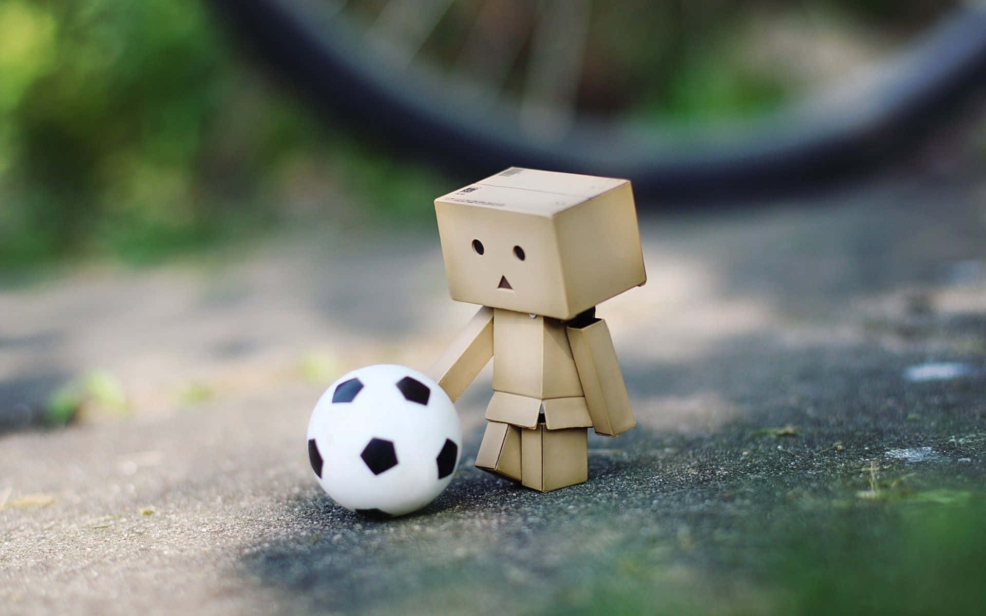 Miniature Soccer Player Danbo.jpg Wallpaper