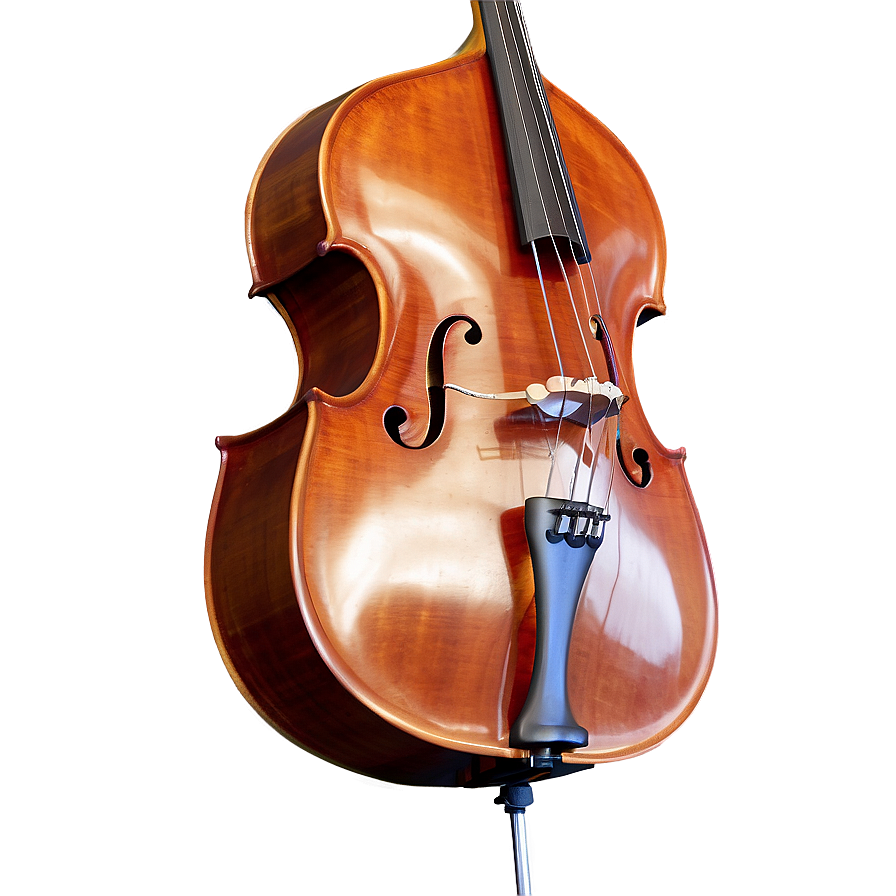 Minimal Double Bass Png Xvf PNG