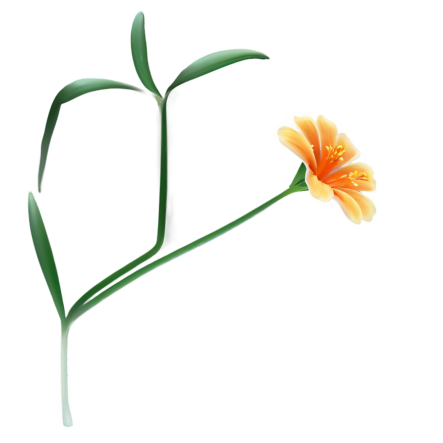 Minimal Orange Flower Png Lvh6 PNG