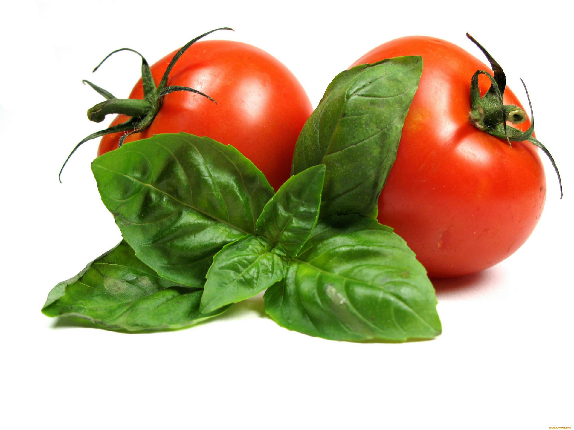 Minimal Tomato Fruits And Basil Leaves Wallpaper