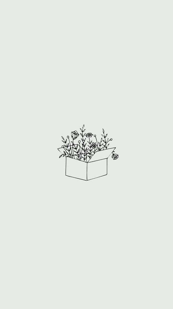 Minimalist Aesthetic Box Filled With Flowers
