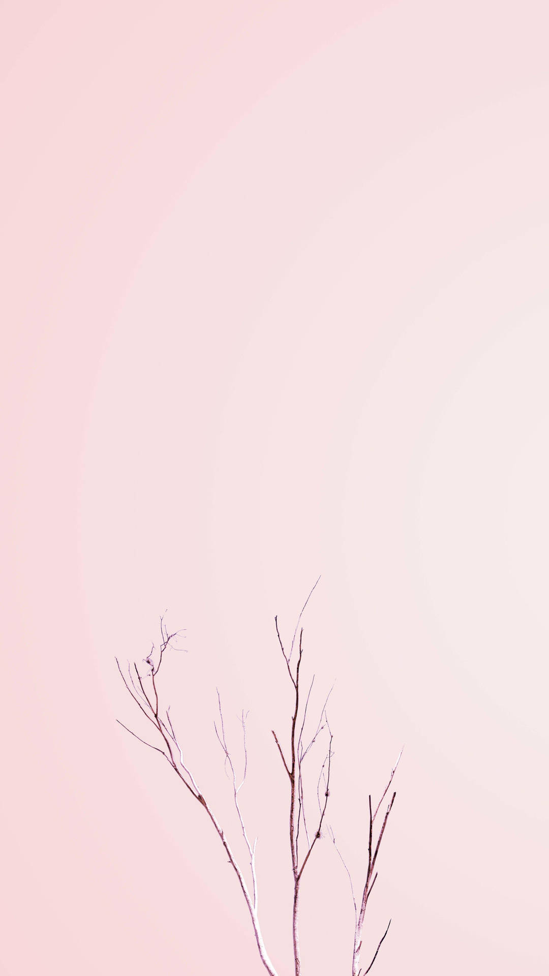 Minimalist Aesthetic Pink Tree Branches