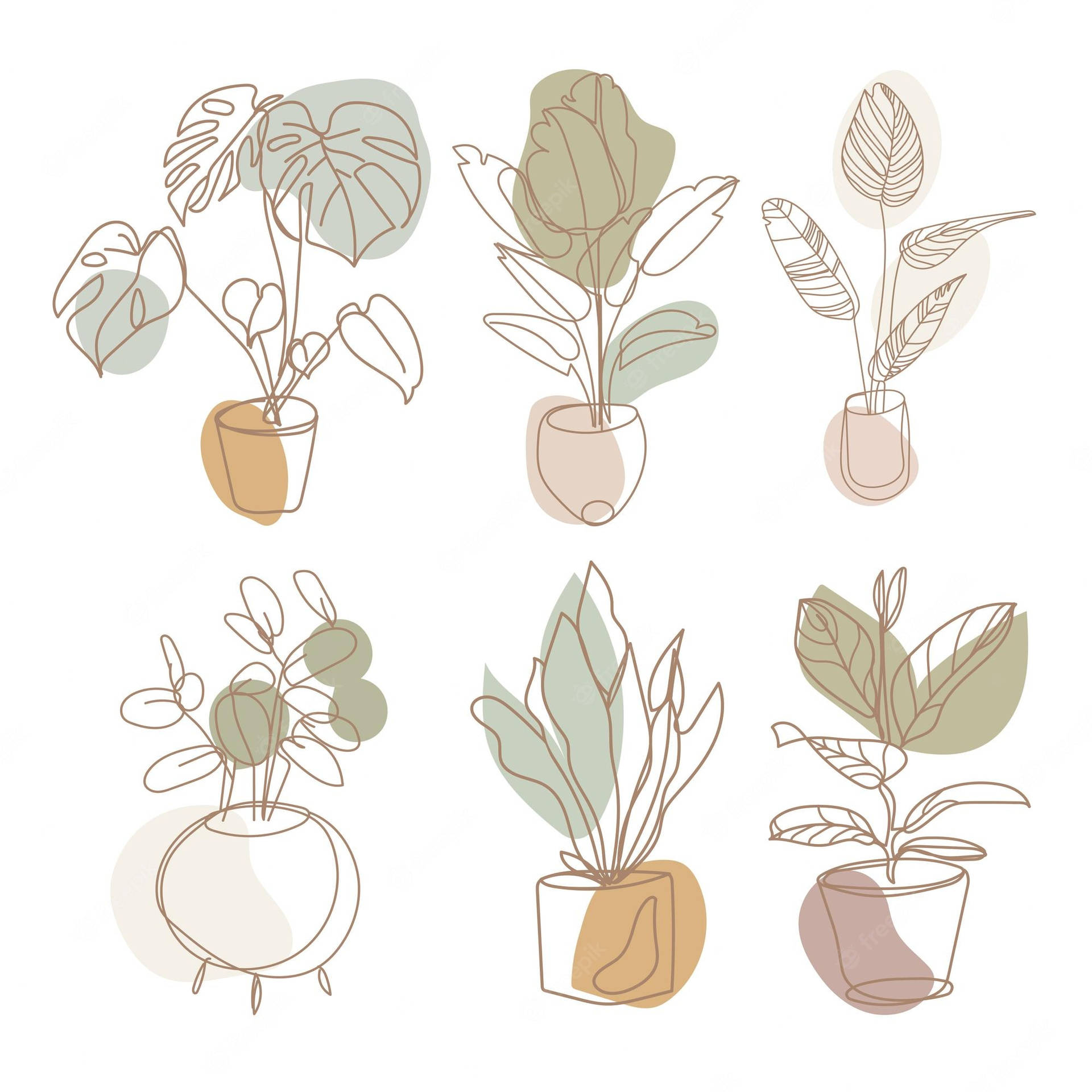 Minimalist Aesthetic Plant Drawing Wallpaper