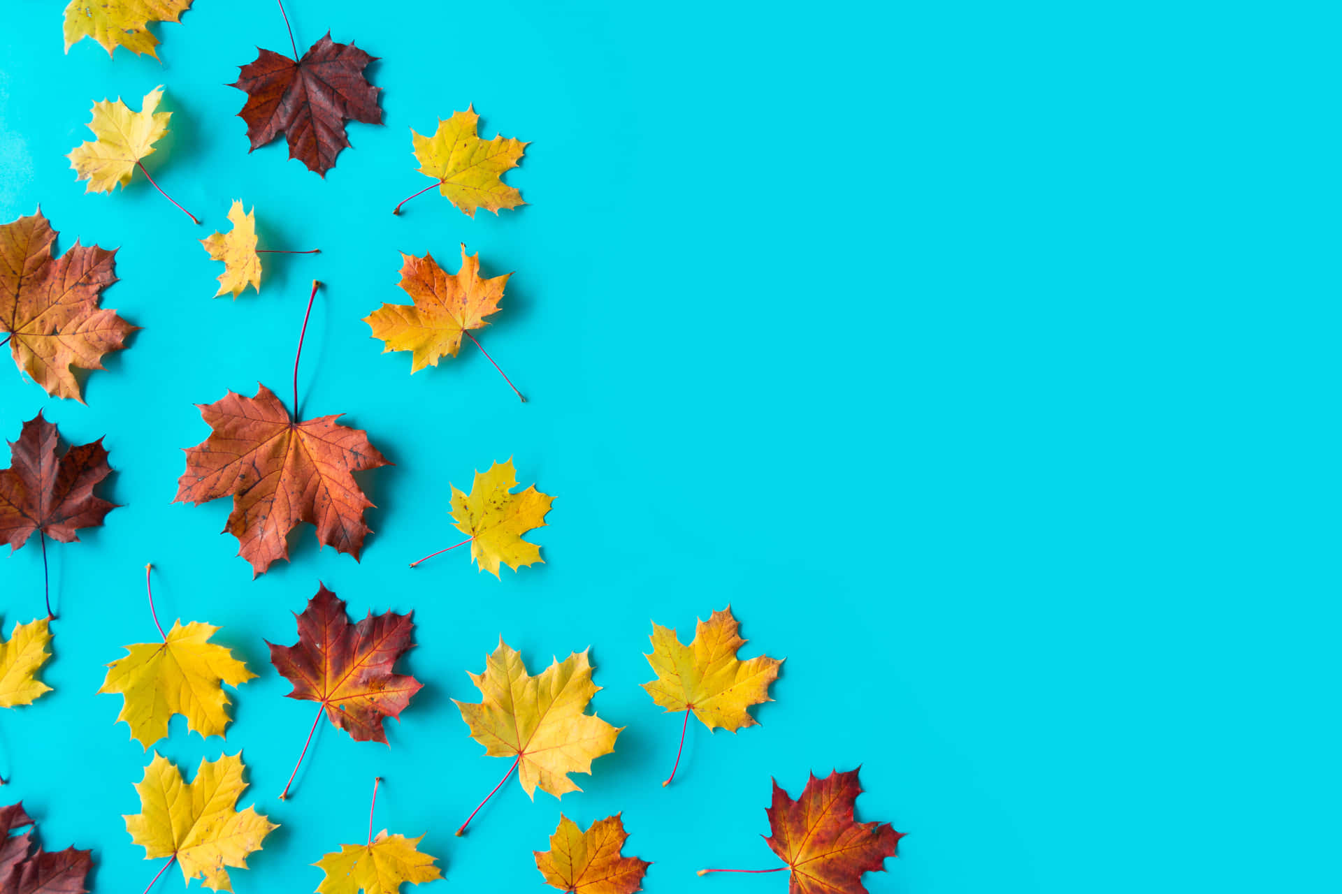 Bildbringen Sie Sich In Herbststimmung Mit Dieser Minimalistischen Herbstszene Wallpaper