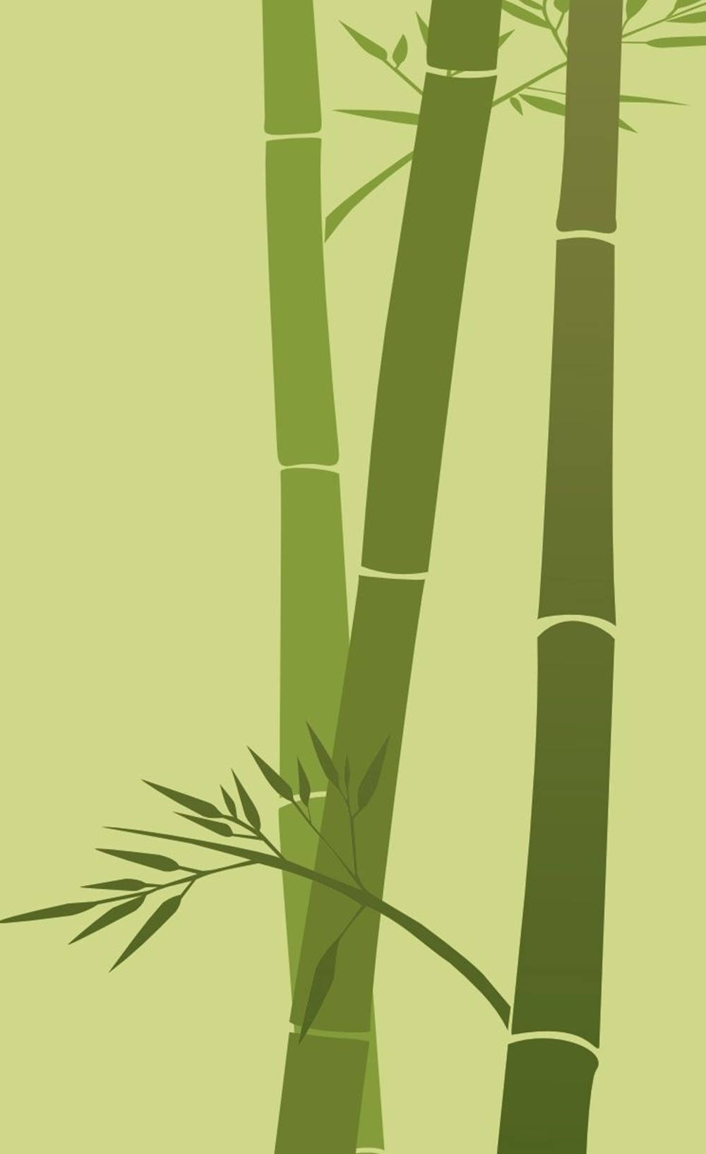 Elegant Minimalist Bamboo Art on iPhone Wallpaper