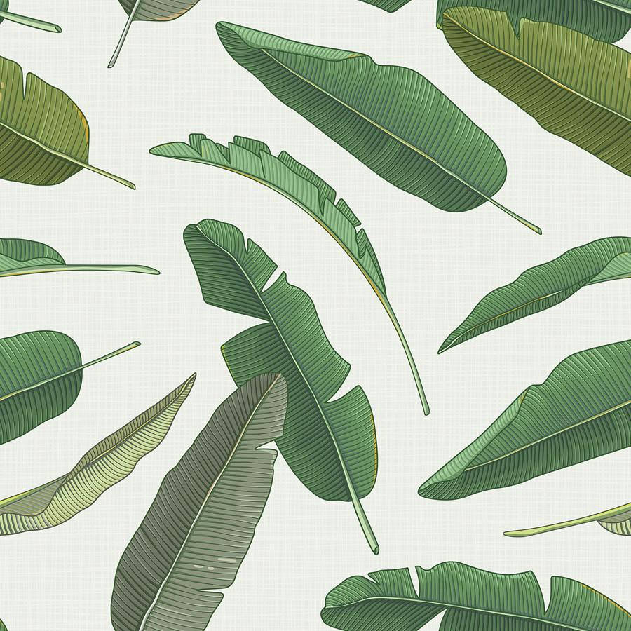 Tropical Elegance - Banana Leaf Pattern Wallpaper