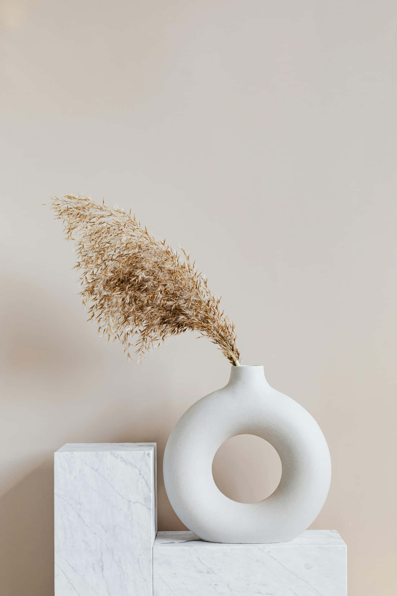 Minimalist Beige Tan Aesthetic Vaseand Dried Grass Wallpaper