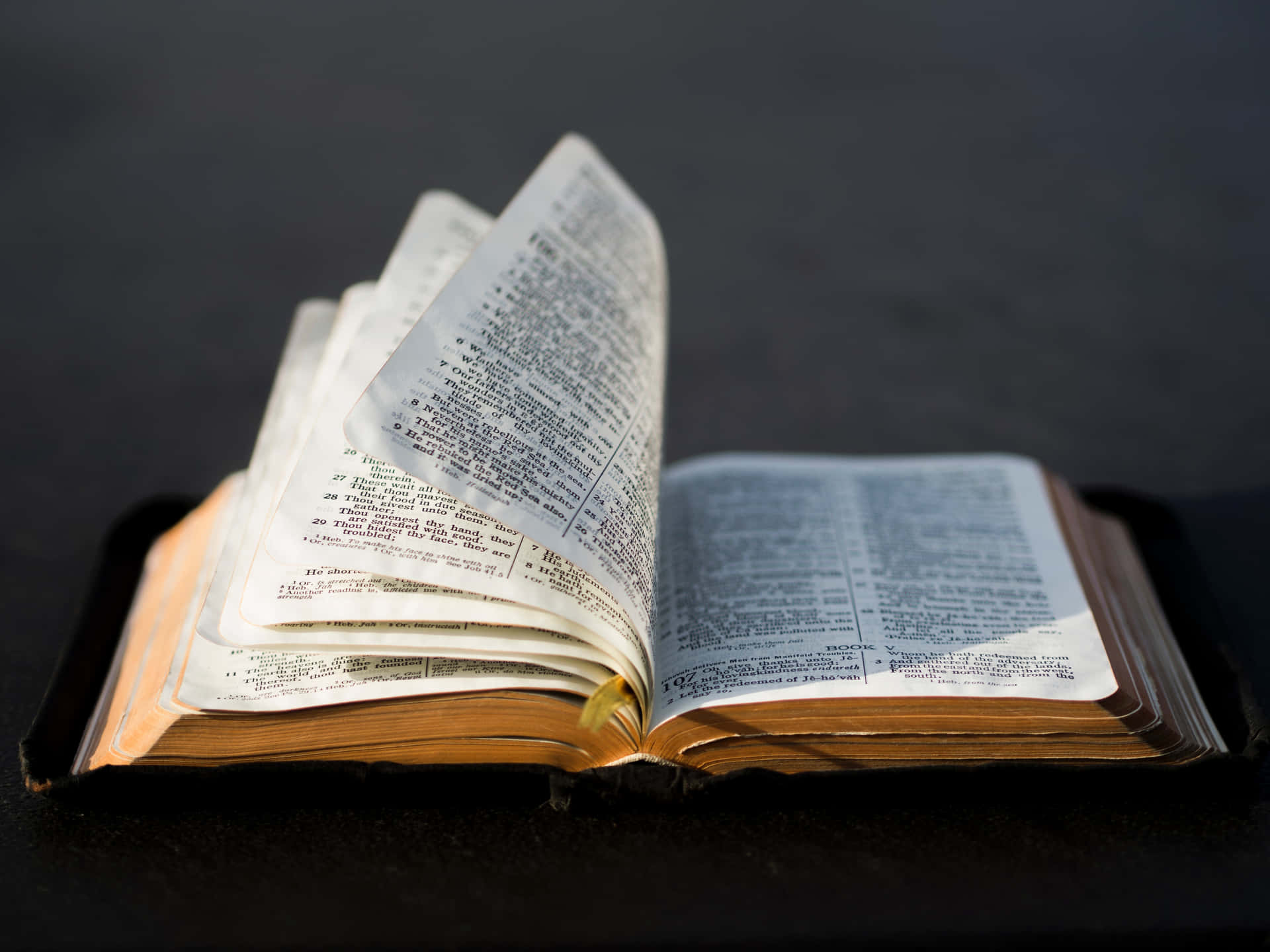 Leyendola Biblia Minimalista: Vive De Forma Sencilla Y Acércate Más A Dios. Fondo de pantalla
