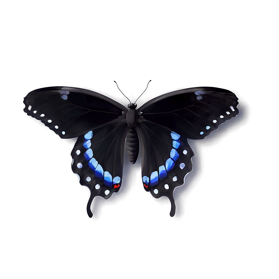 Minimalist Black Butterfly Png Vpr PNG