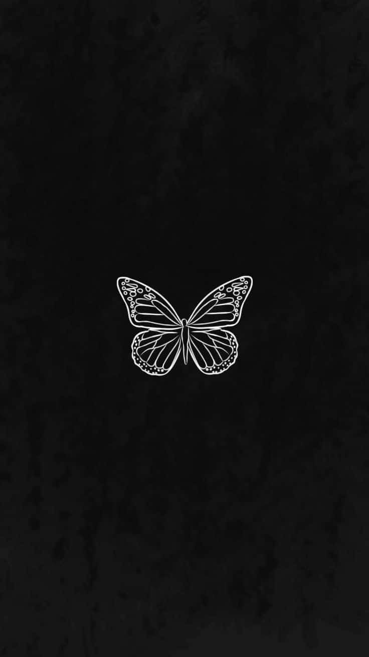 Minimalist Black Butterflyon Dark Background.jpg Wallpaper