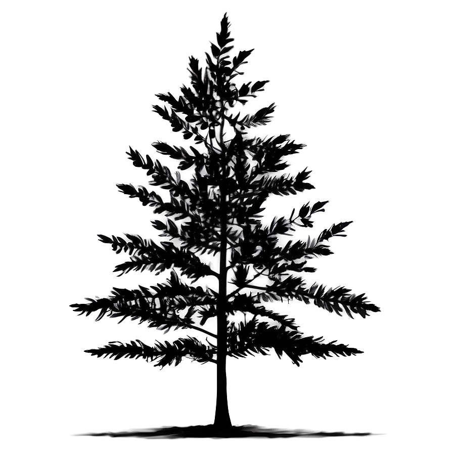 Minimalist Black Tree Png 06212024 PNG