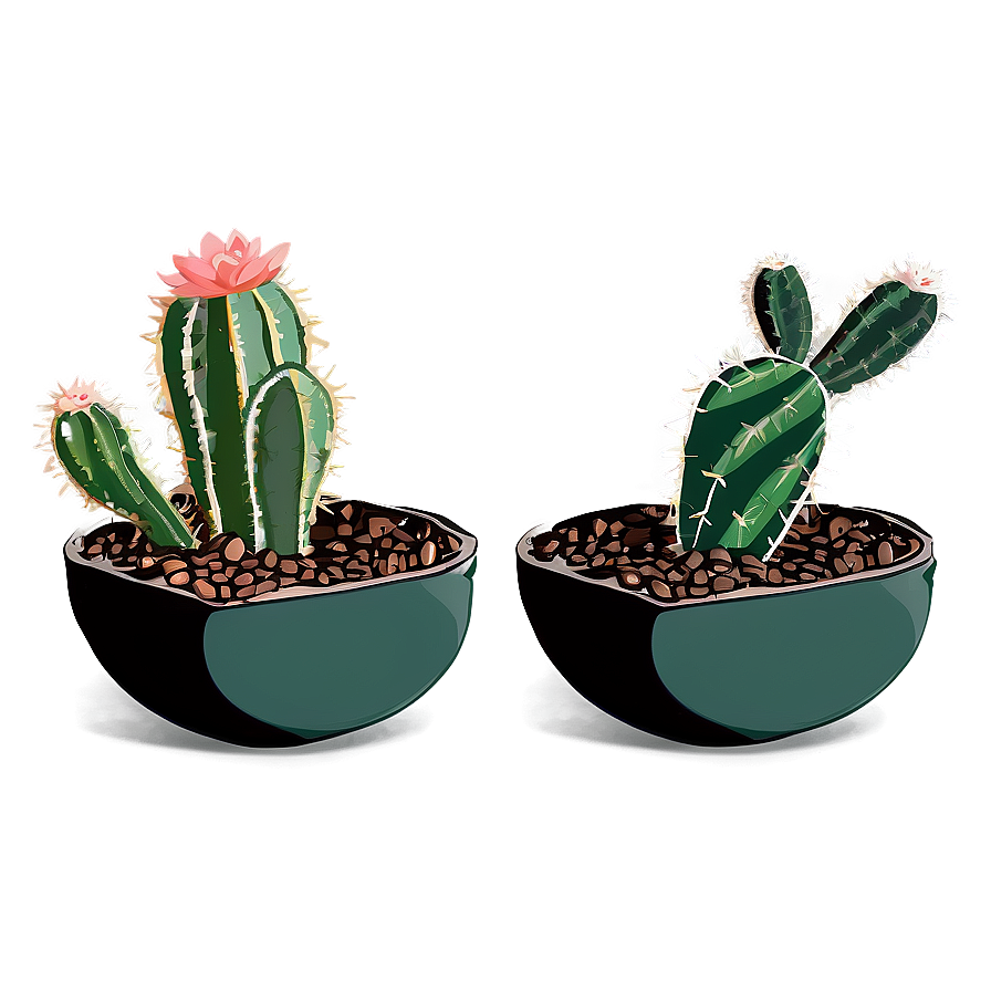 Minimalist Cactus Png Exv PNG