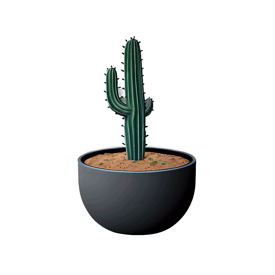 Minimalist Cactus Png Mjm82 PNG