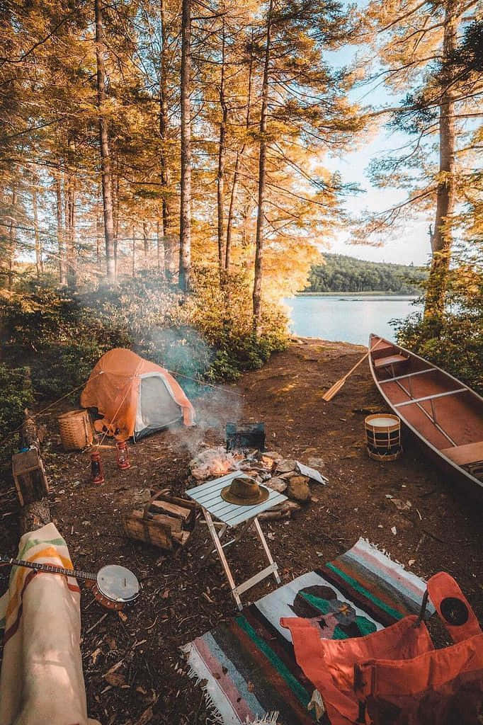 Ontspannende Minimalistische Campingplaats In Het Bos Achtergrond