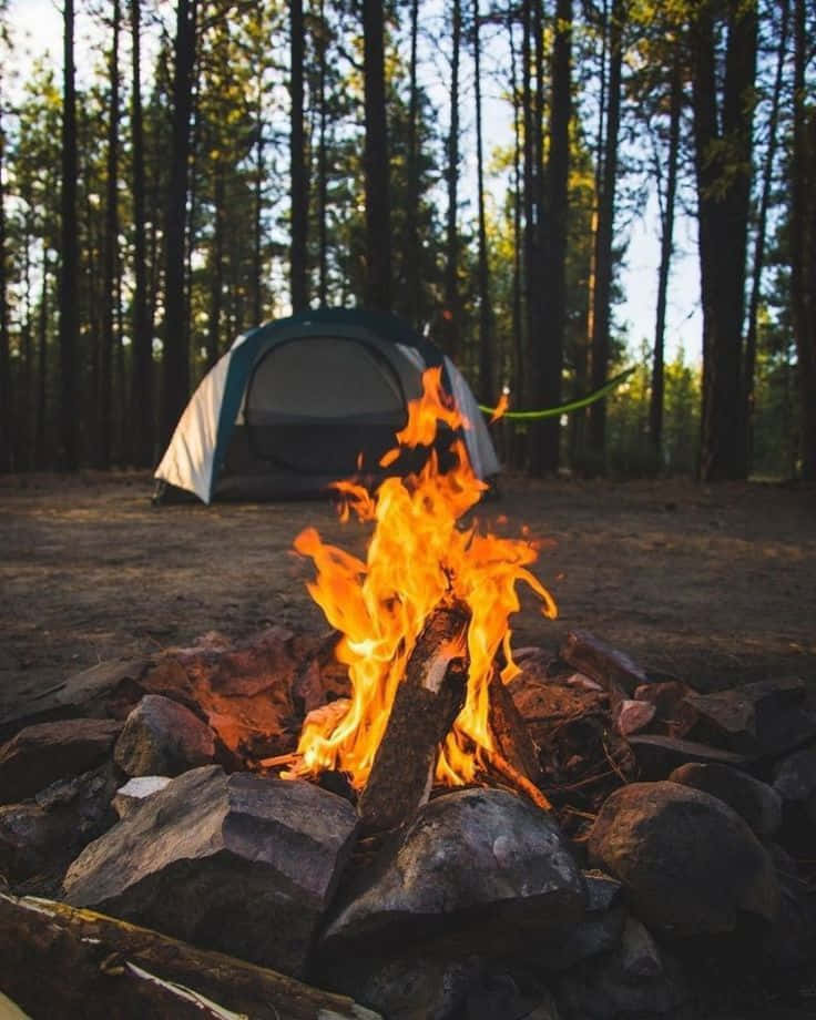 Caption: A minimalist camping setup under a starry sky Wallpaper