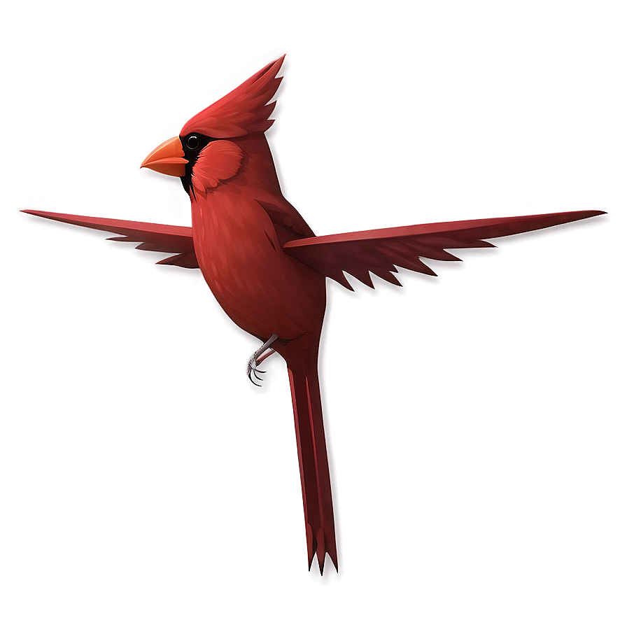 Minimalist Cardinal Design Png 23 PNG