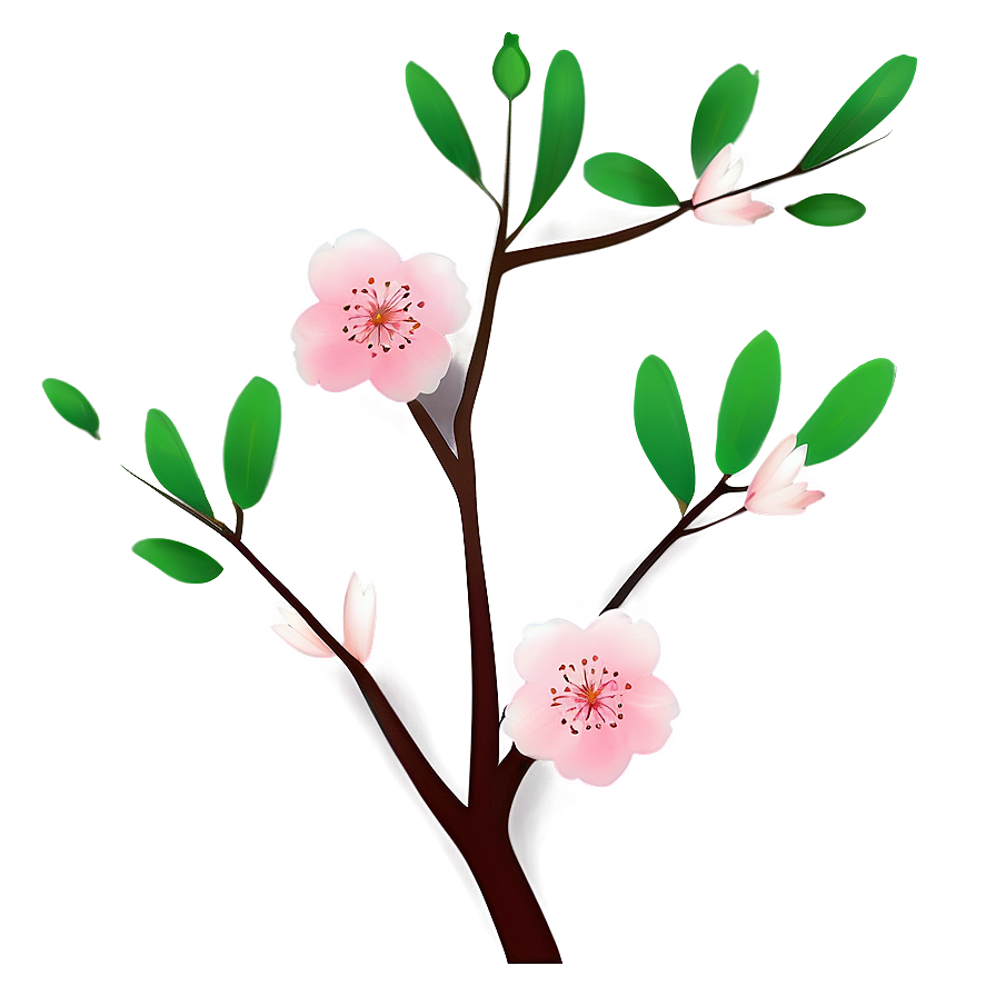 Minimalist Cherry Blossom Art Png 05032024 PNG