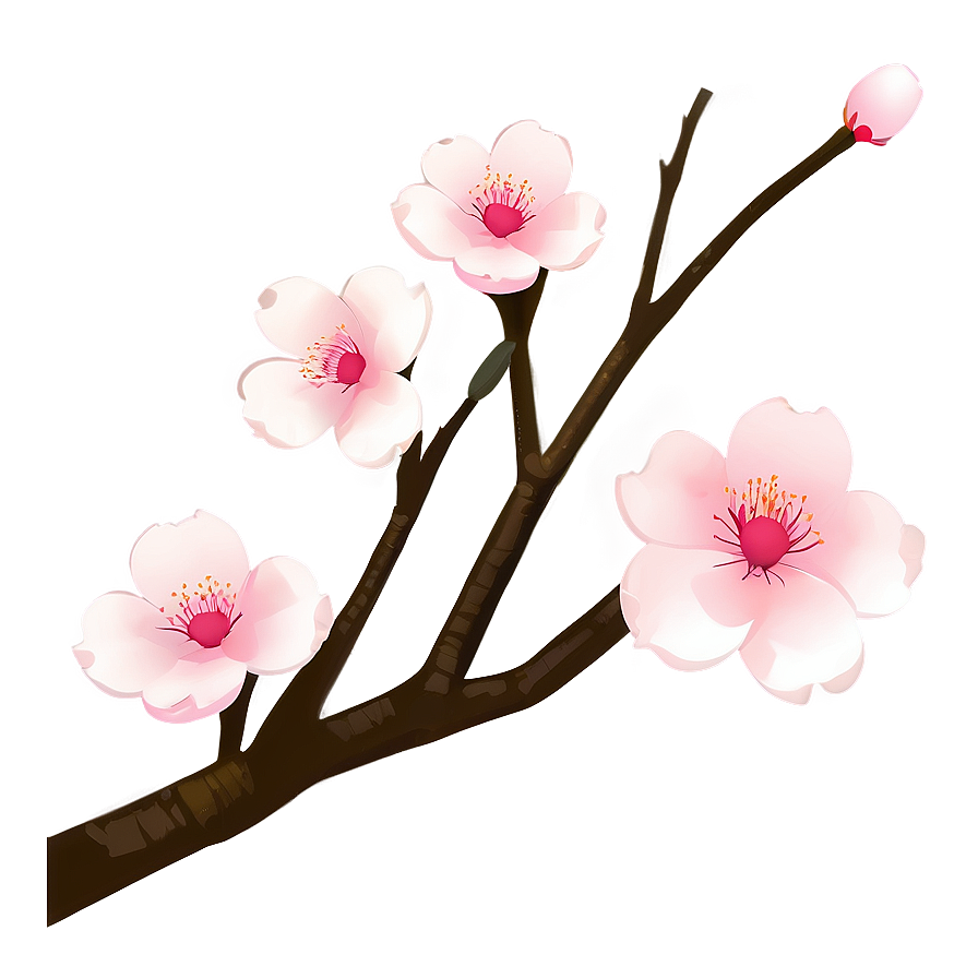 Minimalist Cherry Blossom Art Png 05032024 PNG