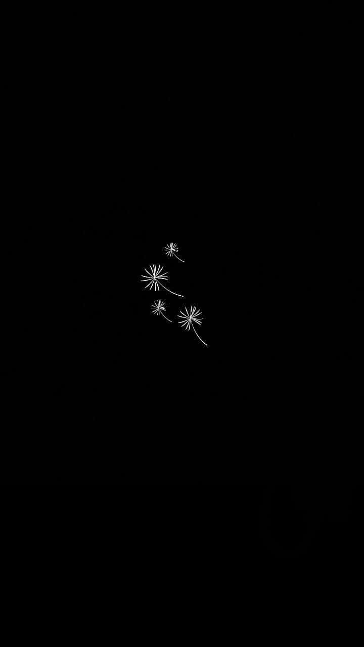 Minimalist_ Dandelion_ Seeds_ Dark_ Background Wallpaper