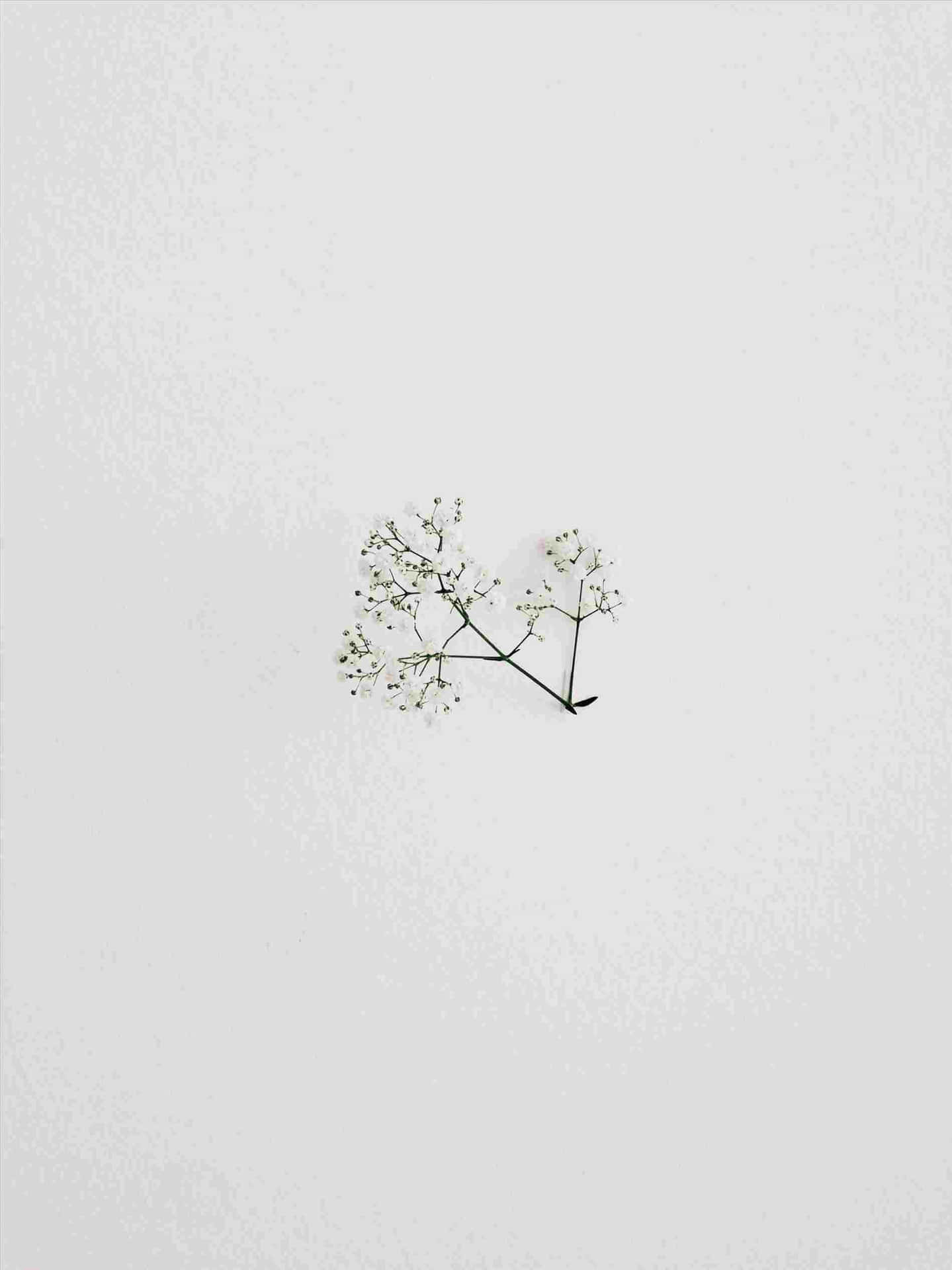 A Minimalist Drawing To Inspire Simplicity Wallpaper