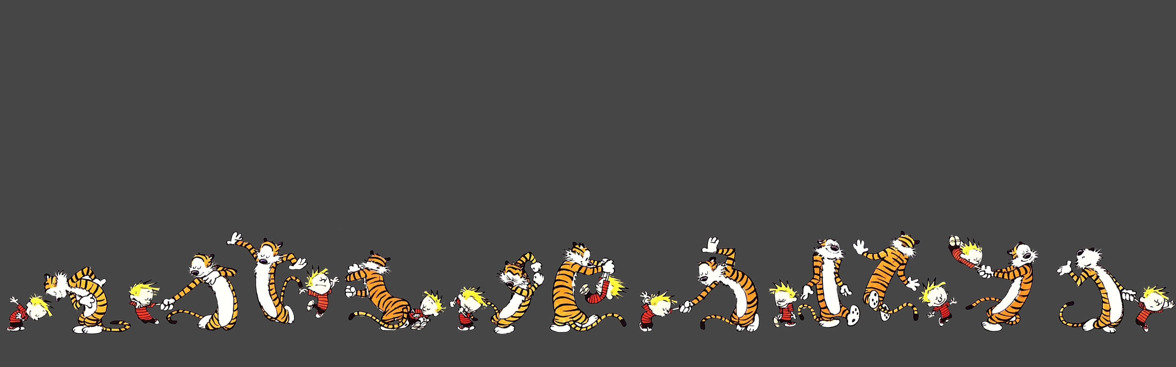 A Black Background With A Group Of Tigers Wallpaper