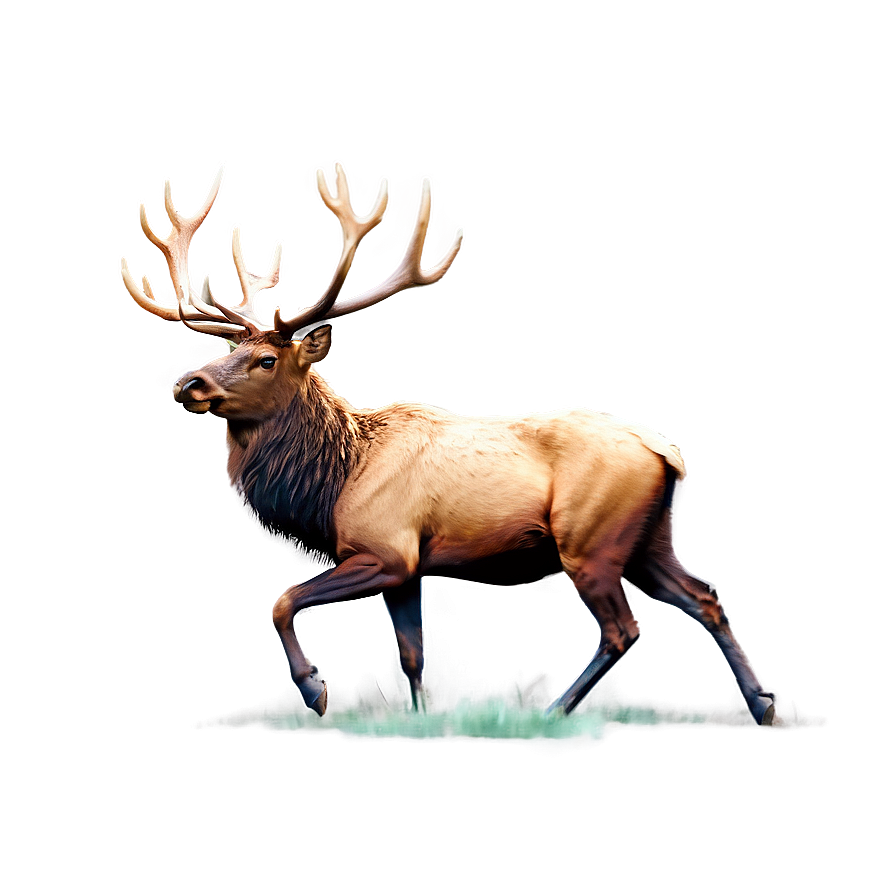 Download Minimalist Elk Png Orc44 | Wallpapers.com