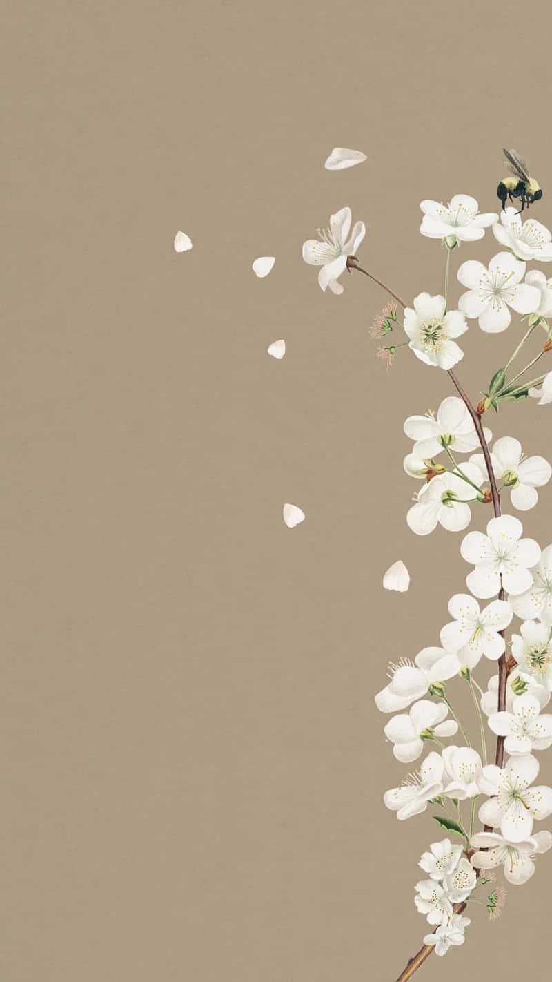 Minimalist Floral Designwith Bee Wallpaper