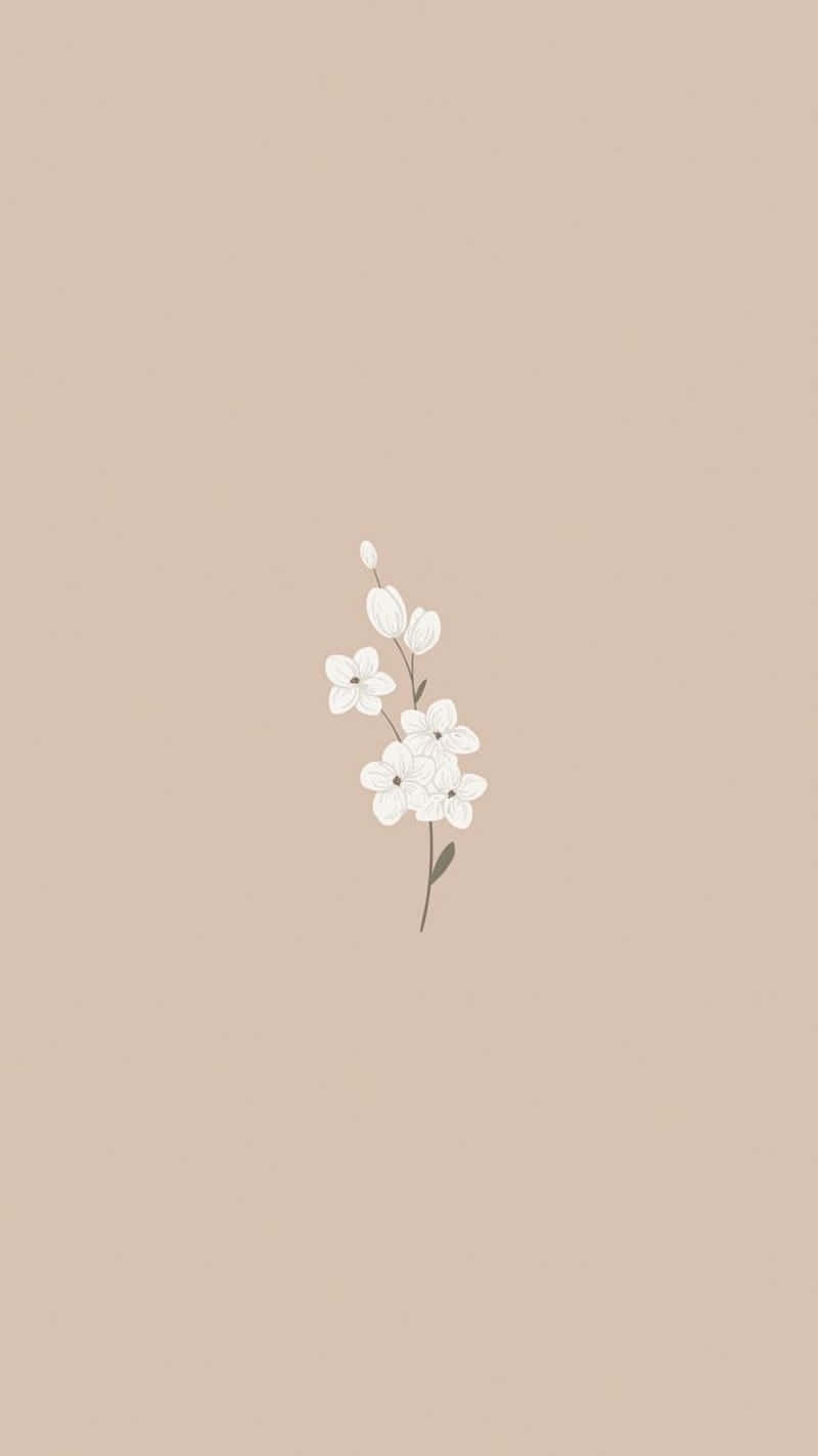 Minimalist Floral Pastel Aesthetic.jpg Wallpaper