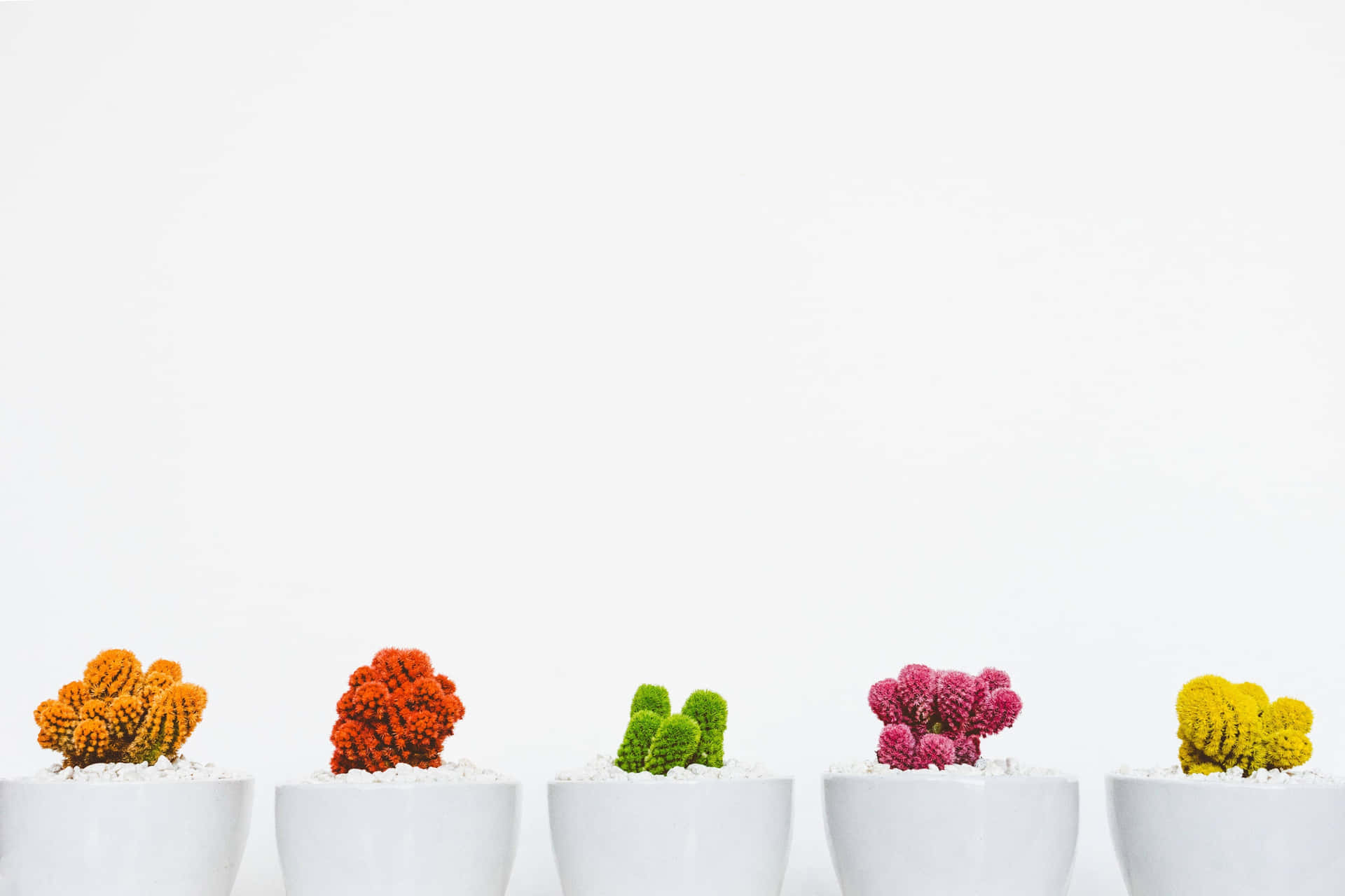 Eineelegante Minimalistische Blume Wallpaper