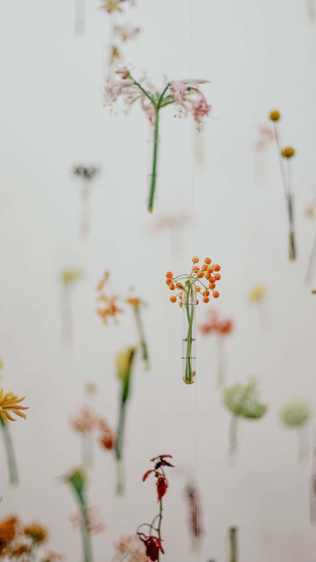 Minimalistischerfallender Blumen Wallpaper