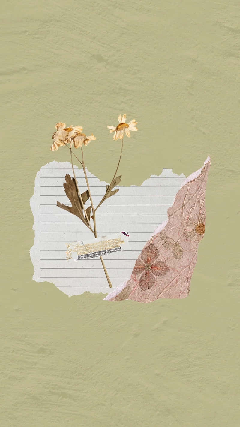 Minimalist Flower Aesthetic Composition Wallpaper