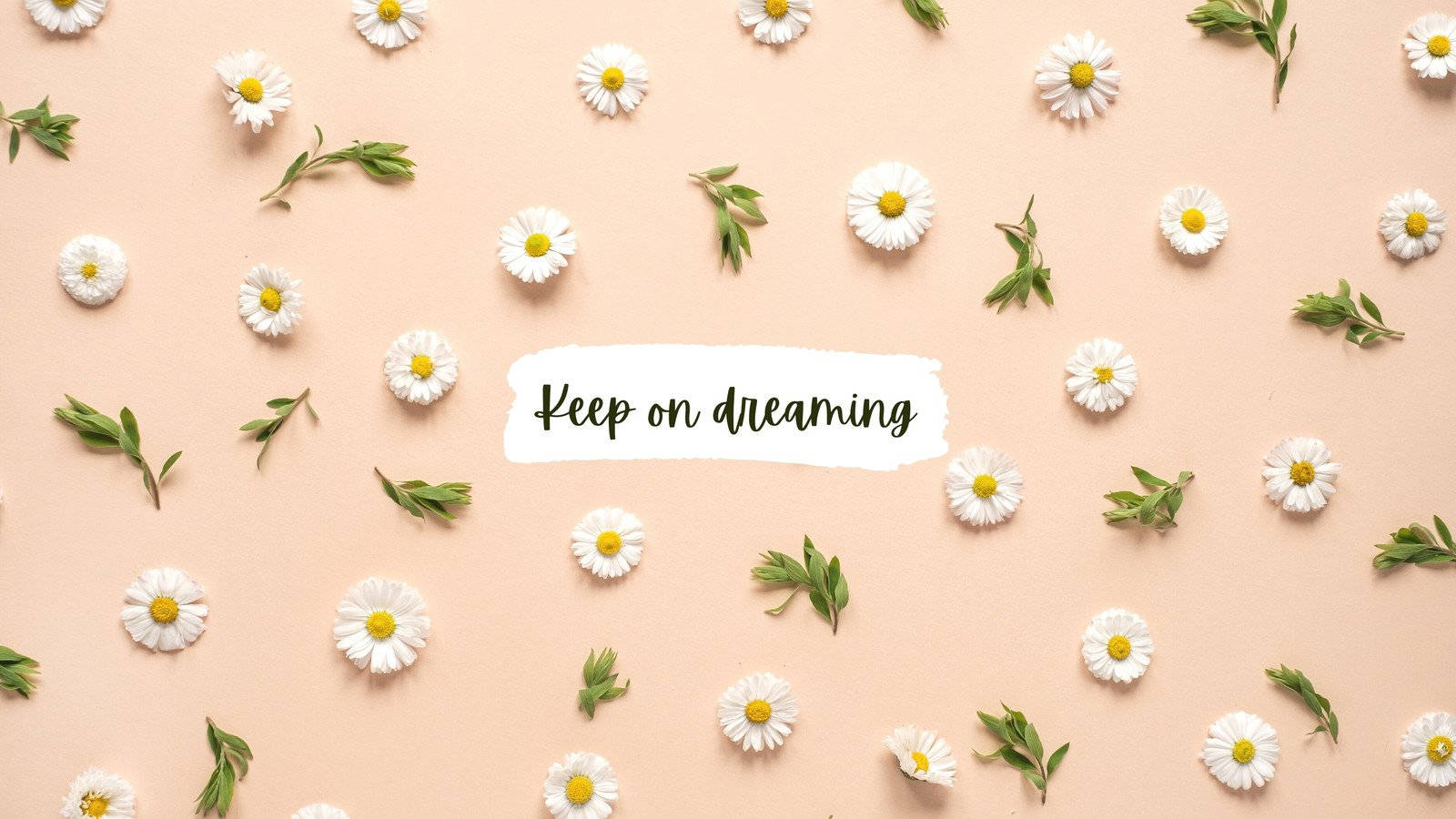 Keep On Sleeping On A Pink Background With Daisies Wallpaper