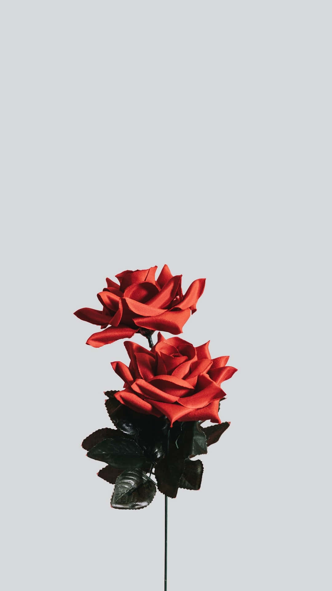 Minimalistischeblume - Ein Einfacher Und Ruhiger Anblick Wallpaper