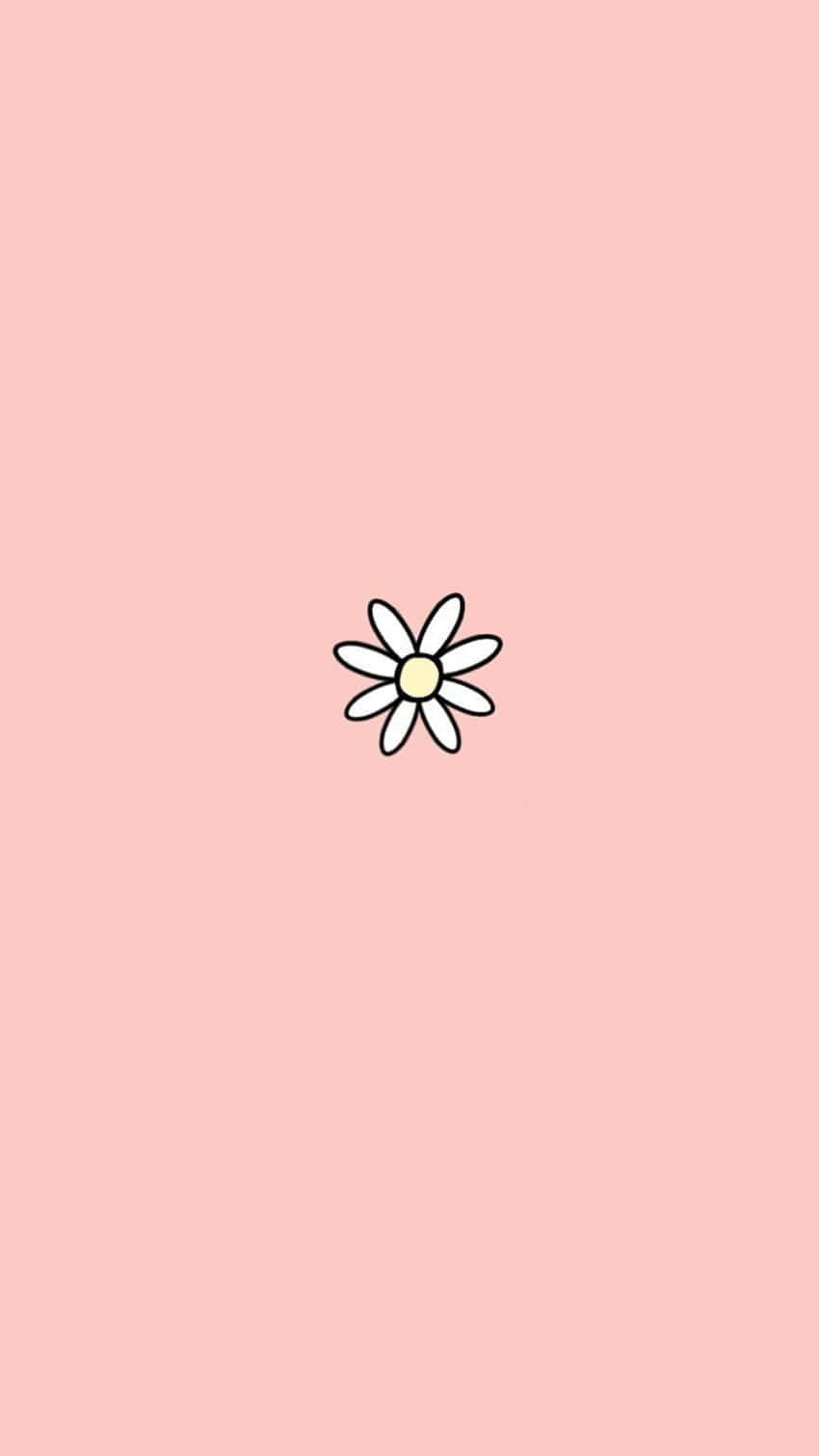 Minimalist Flower Pink Background Wallpaper