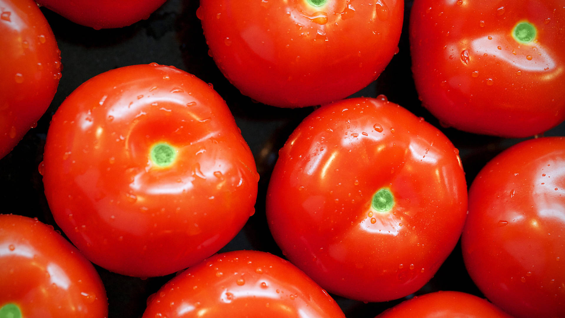 Minimalistiskbakgrund Med Färska Tomater Som Frukt. Wallpaper